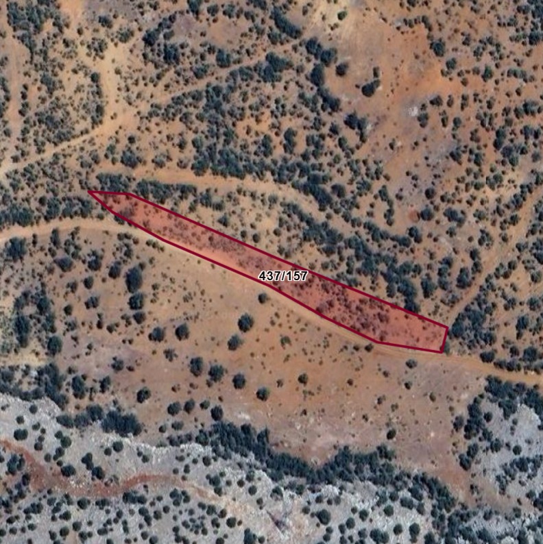 Fotoğraf