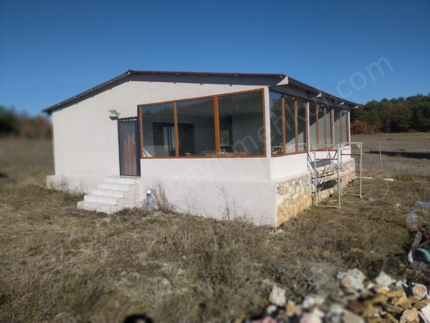 Fotoğraf