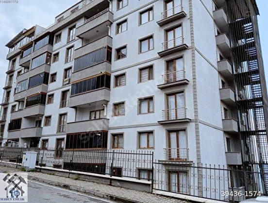 Fotoğraf