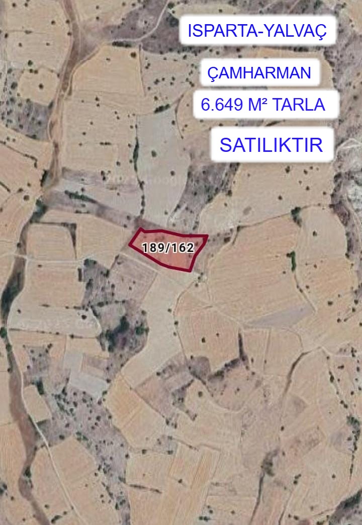 Fotoğraf