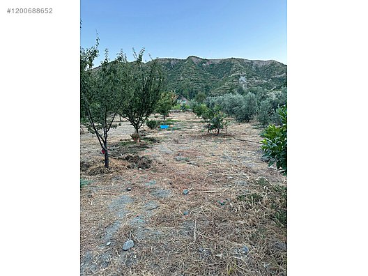 Fotoğraf
