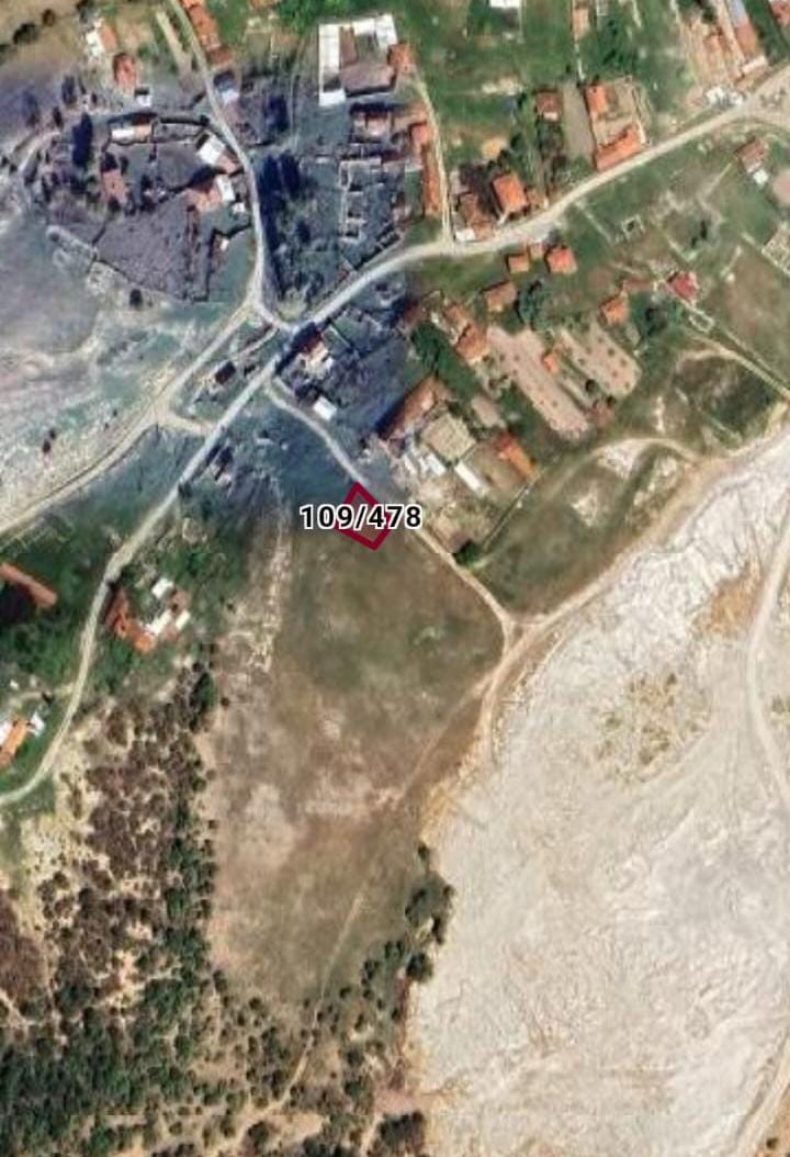 Fotoğraf