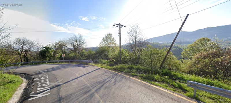 Fotoğraf
