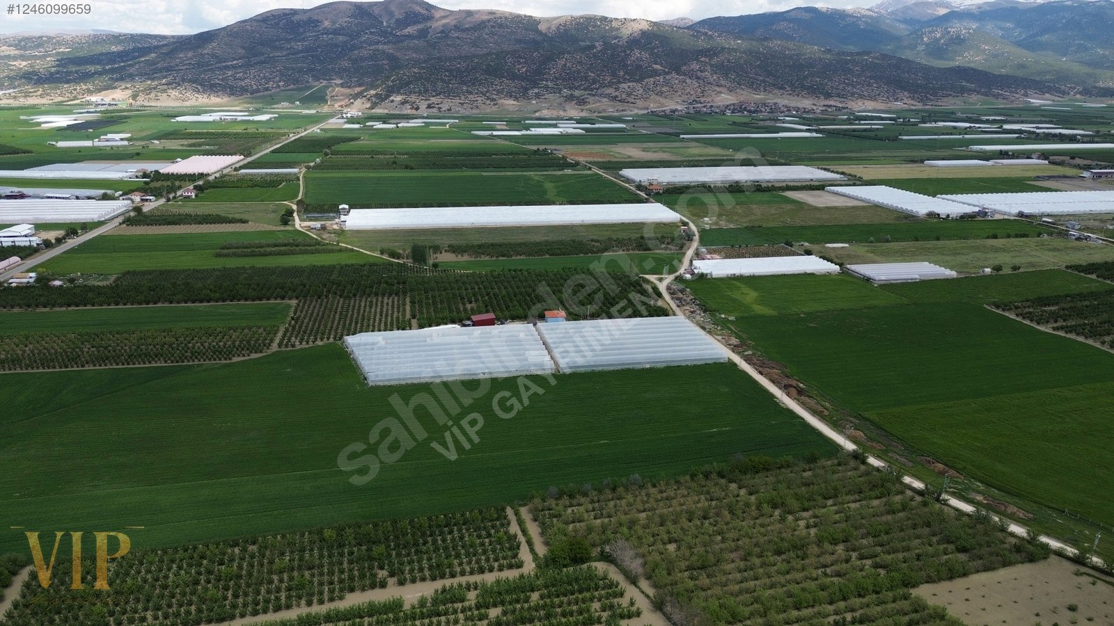 İlan Fotoğrafı