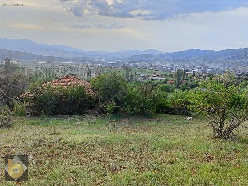 İlan Fotoğrafı