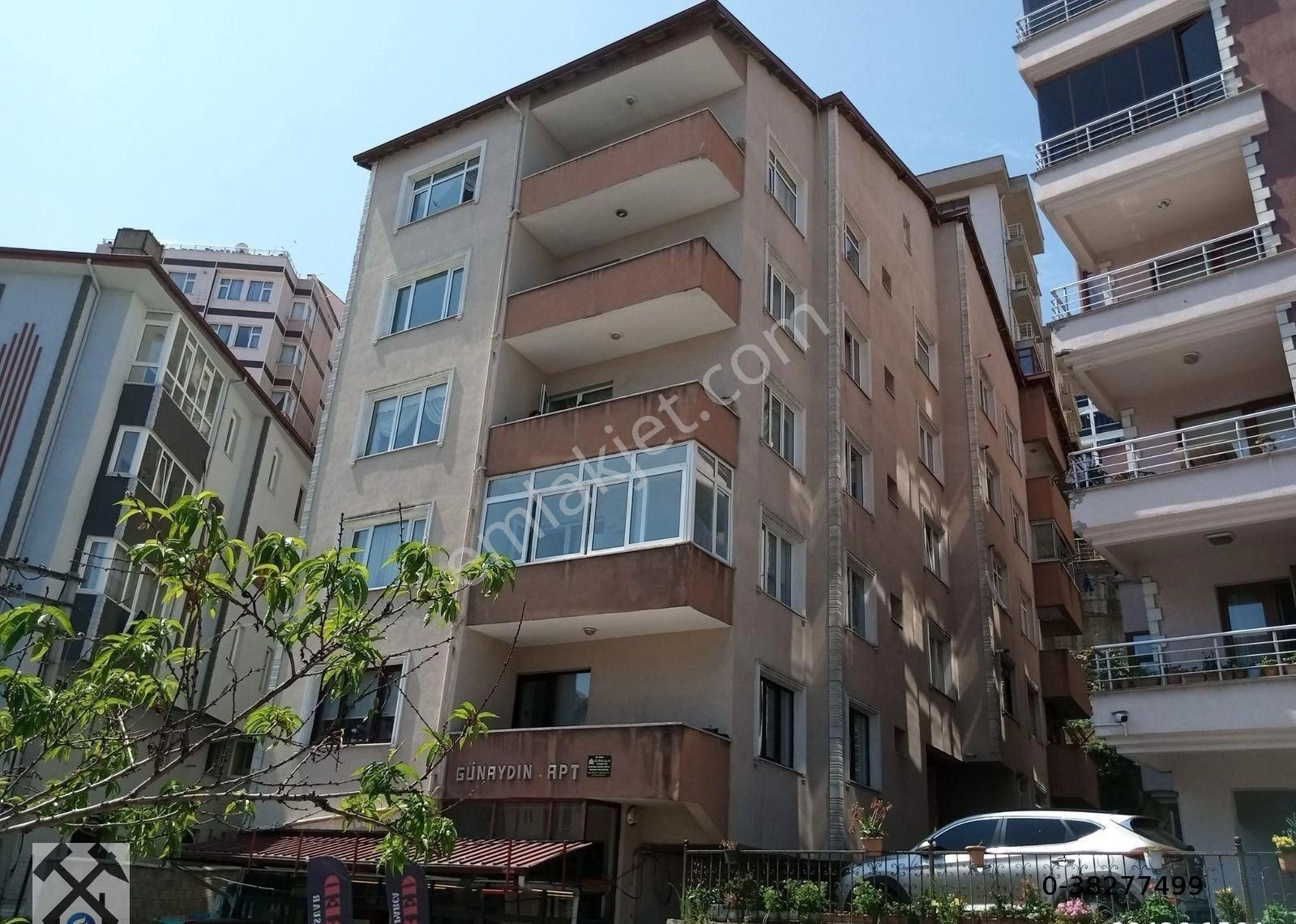 Fotoğraf