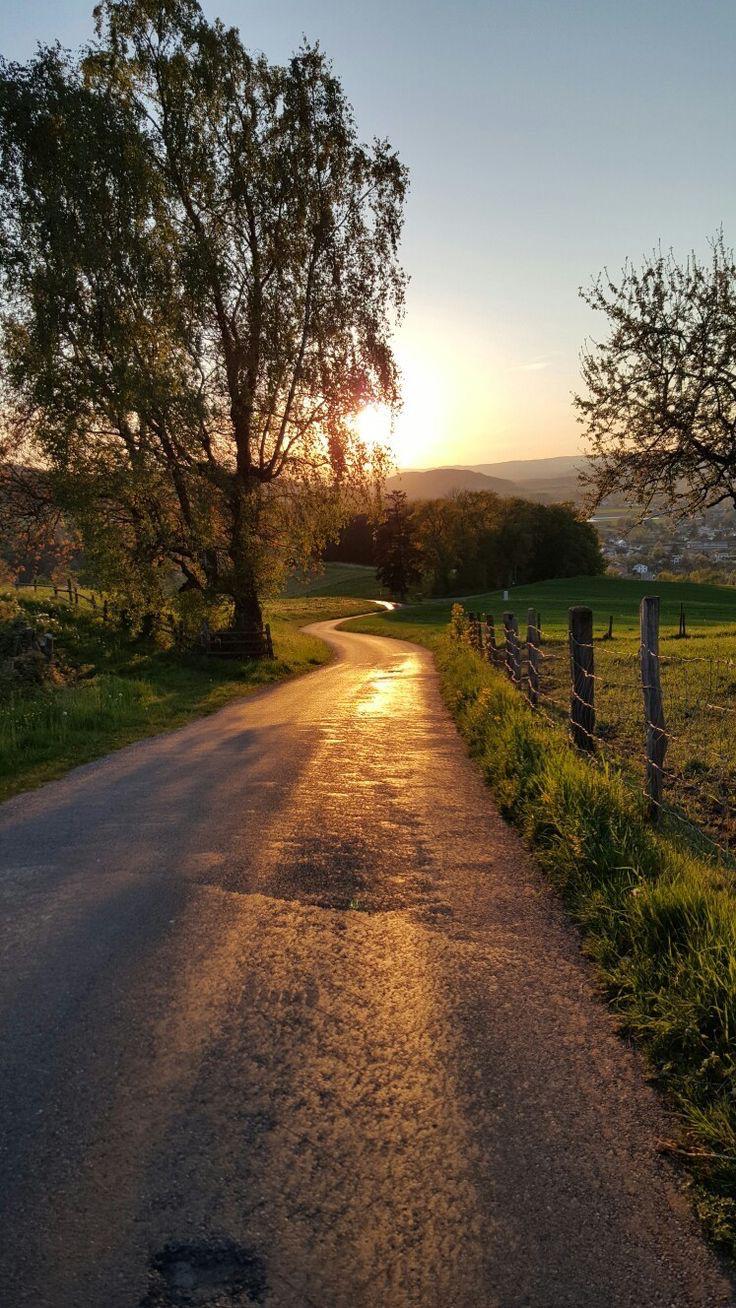 Fotoğraf