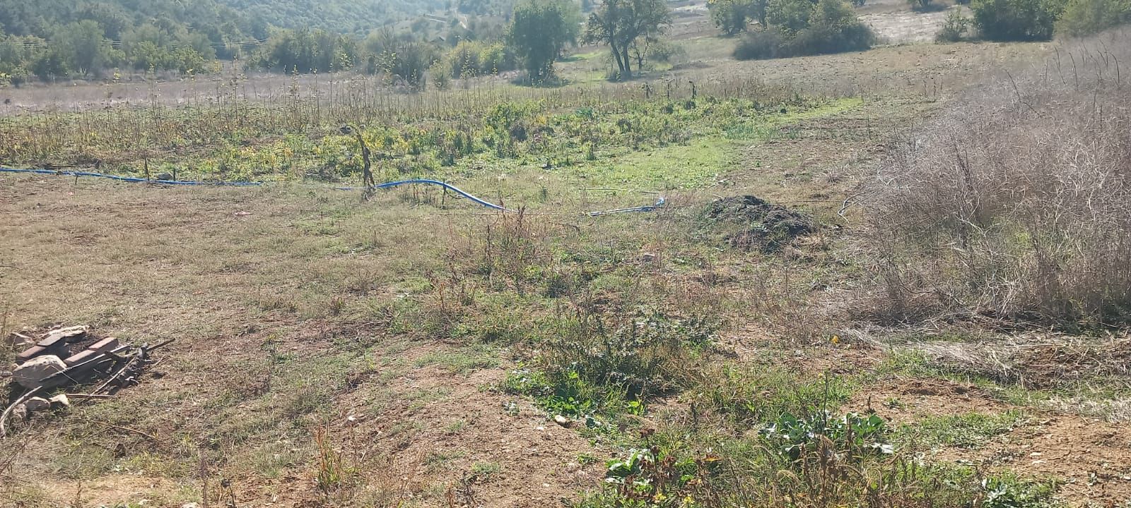 Fotoğraf