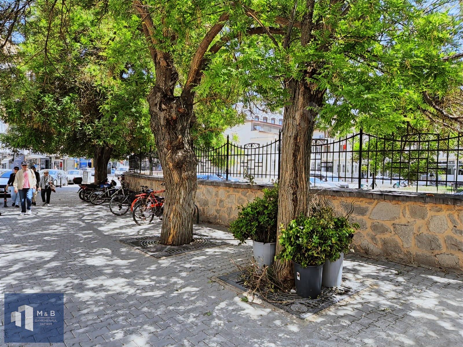 Fotoğraf