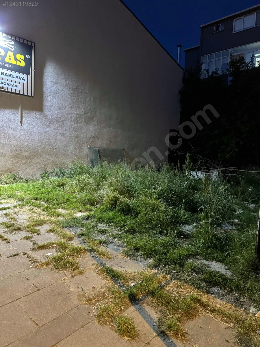 Fotoğraf