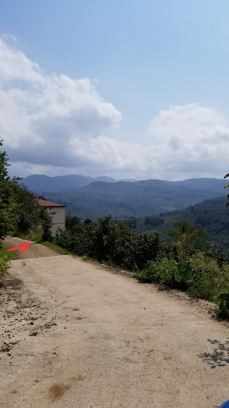 Fotoğraf