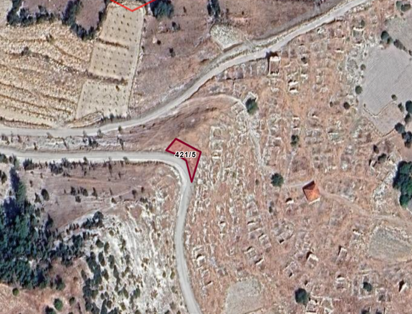 Fotoğraf