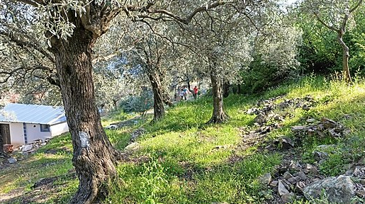 İlan Fotoğrafı