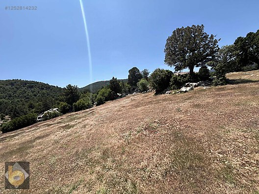 İlan Fotoğrafı