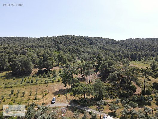 İlan Fotoğrafı