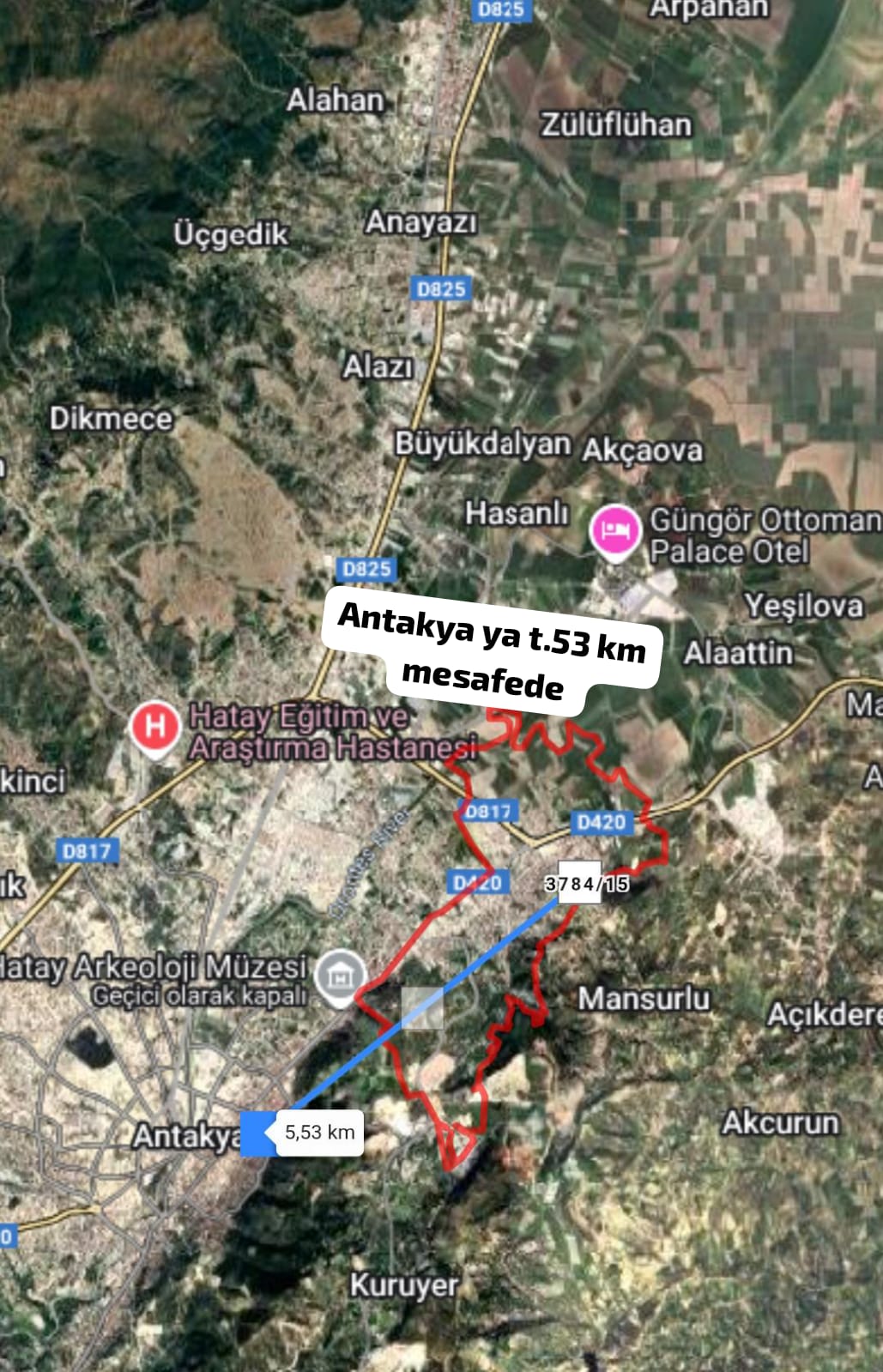 Fotoğraf