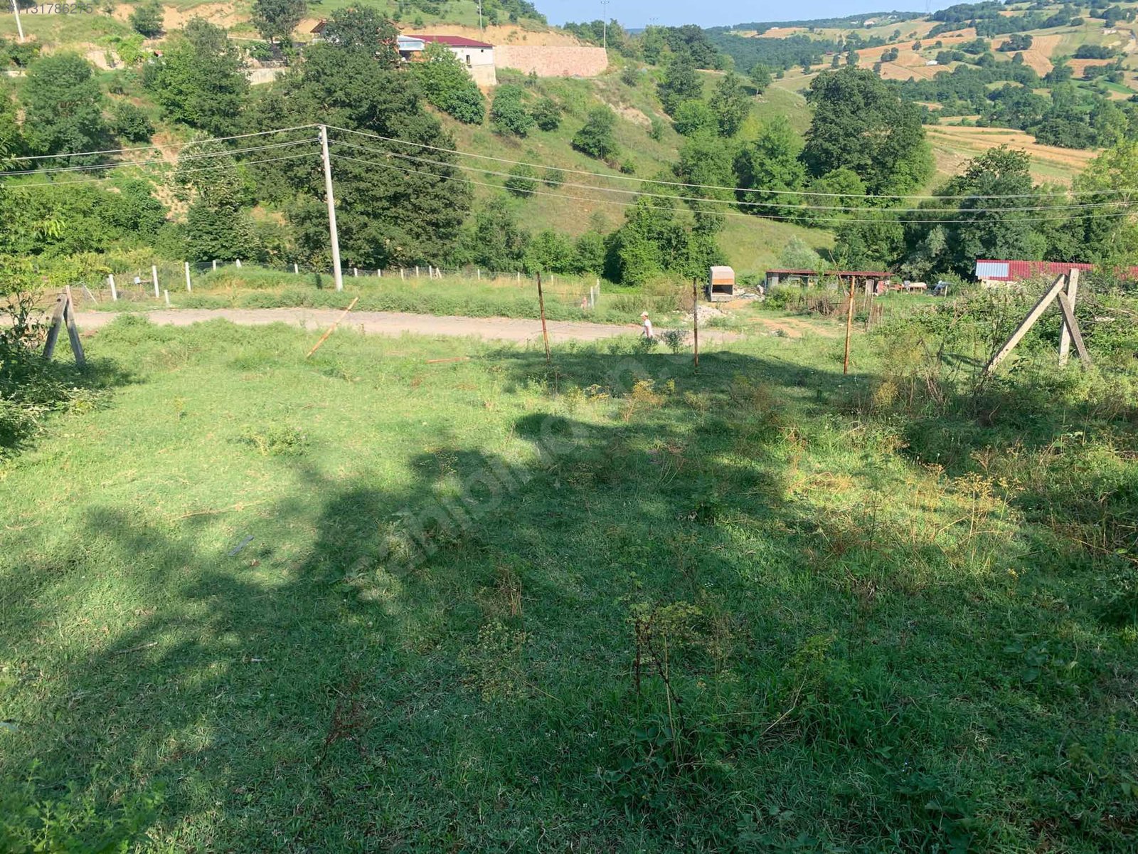 Fotoğraf