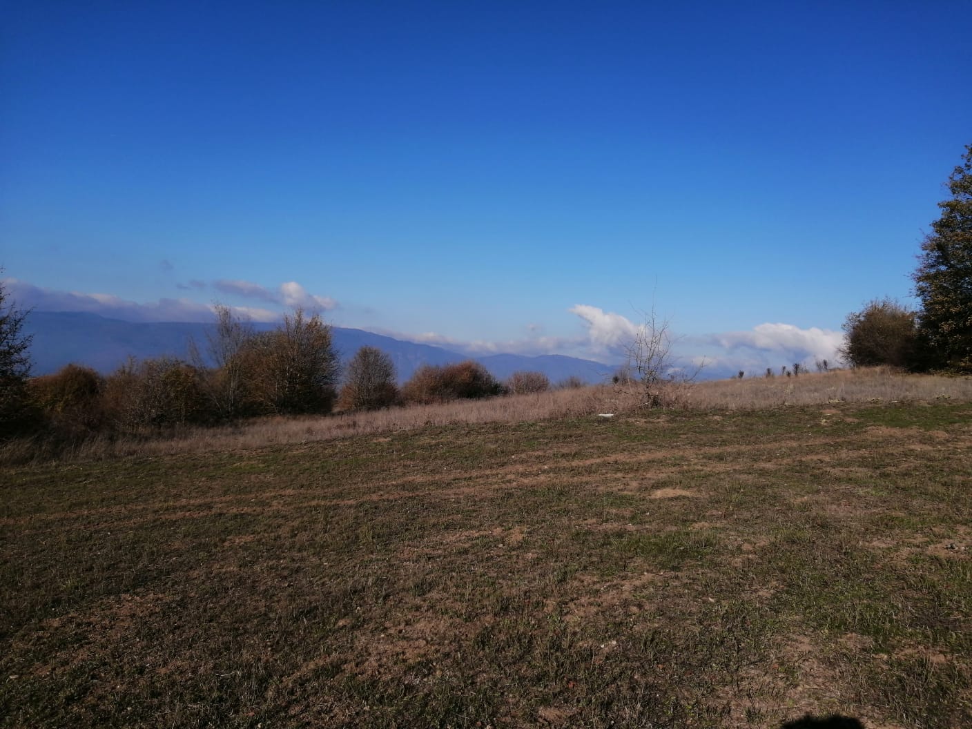 Fotoğraf
