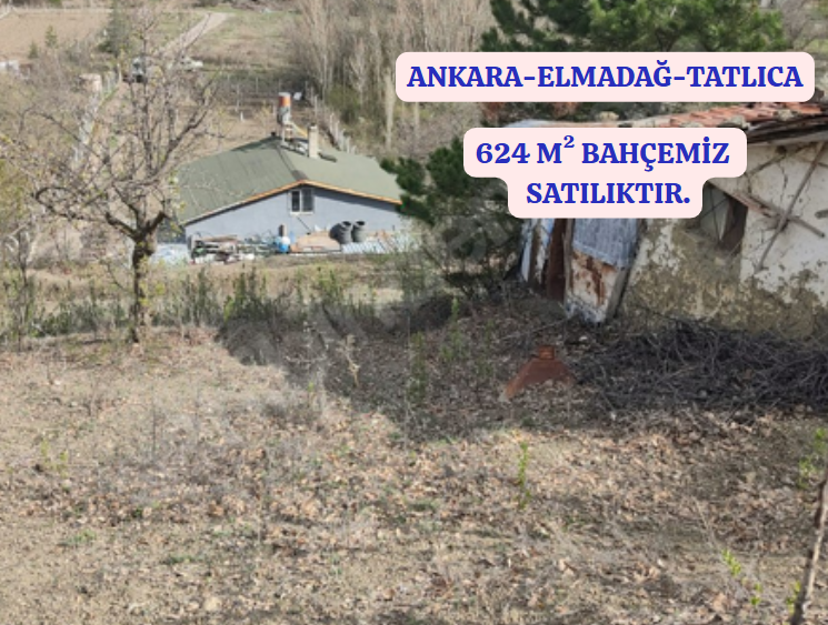 Fotoğraf