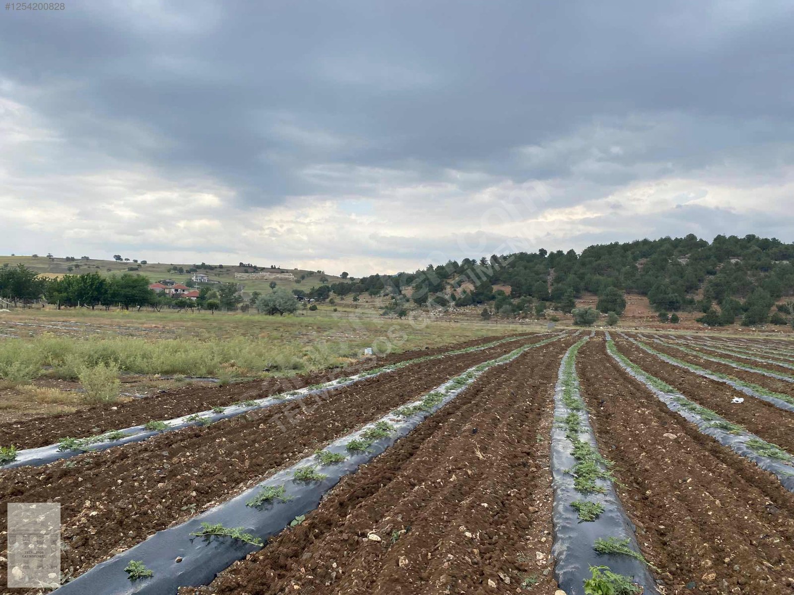 İlan Fotoğrafı