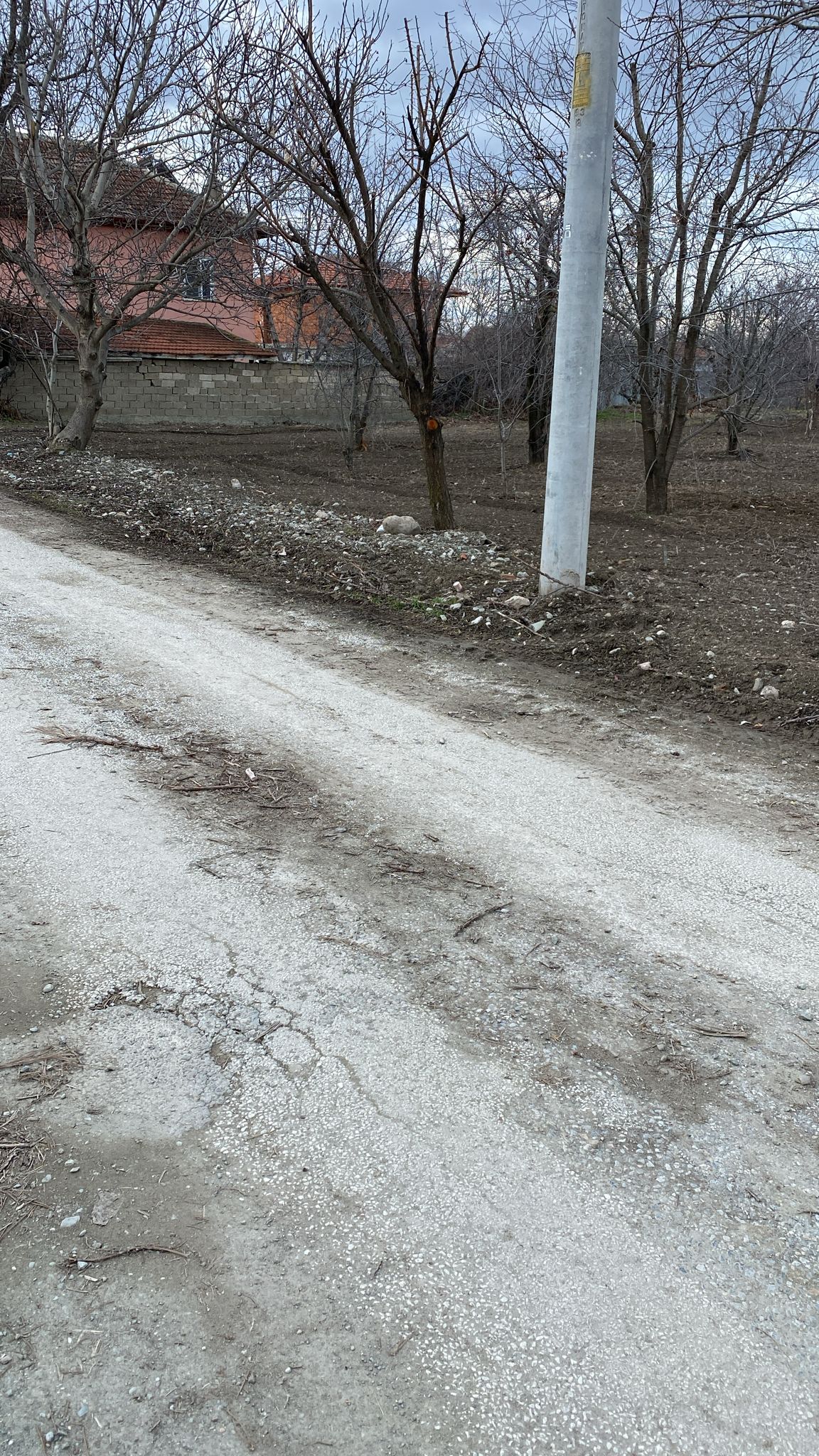 Fotoğraf