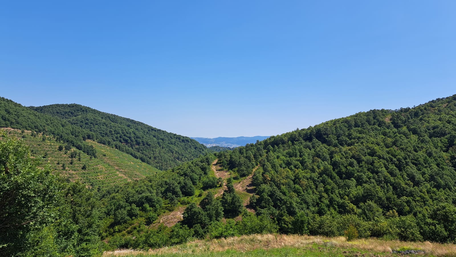 Fotoğraf