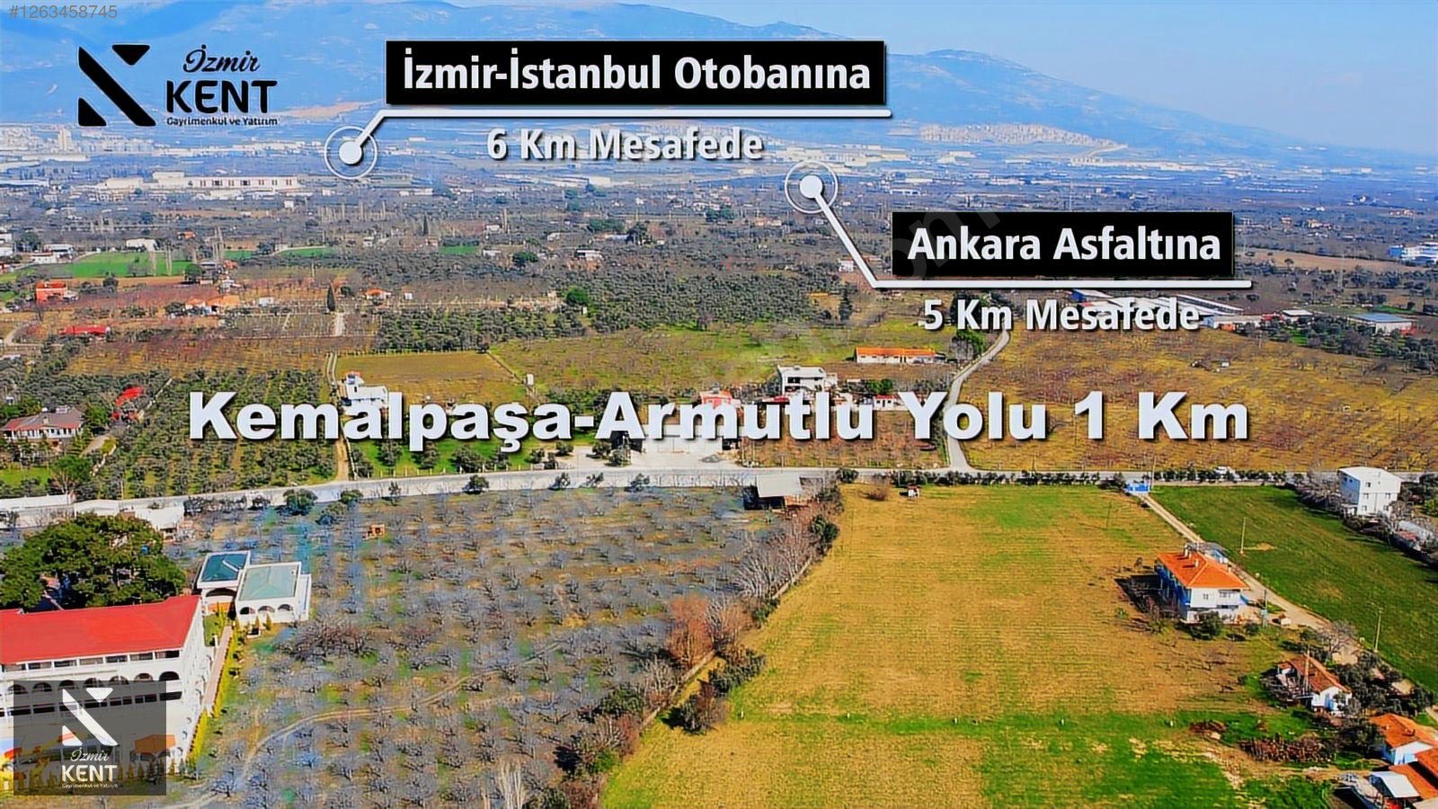 Fotoğraf