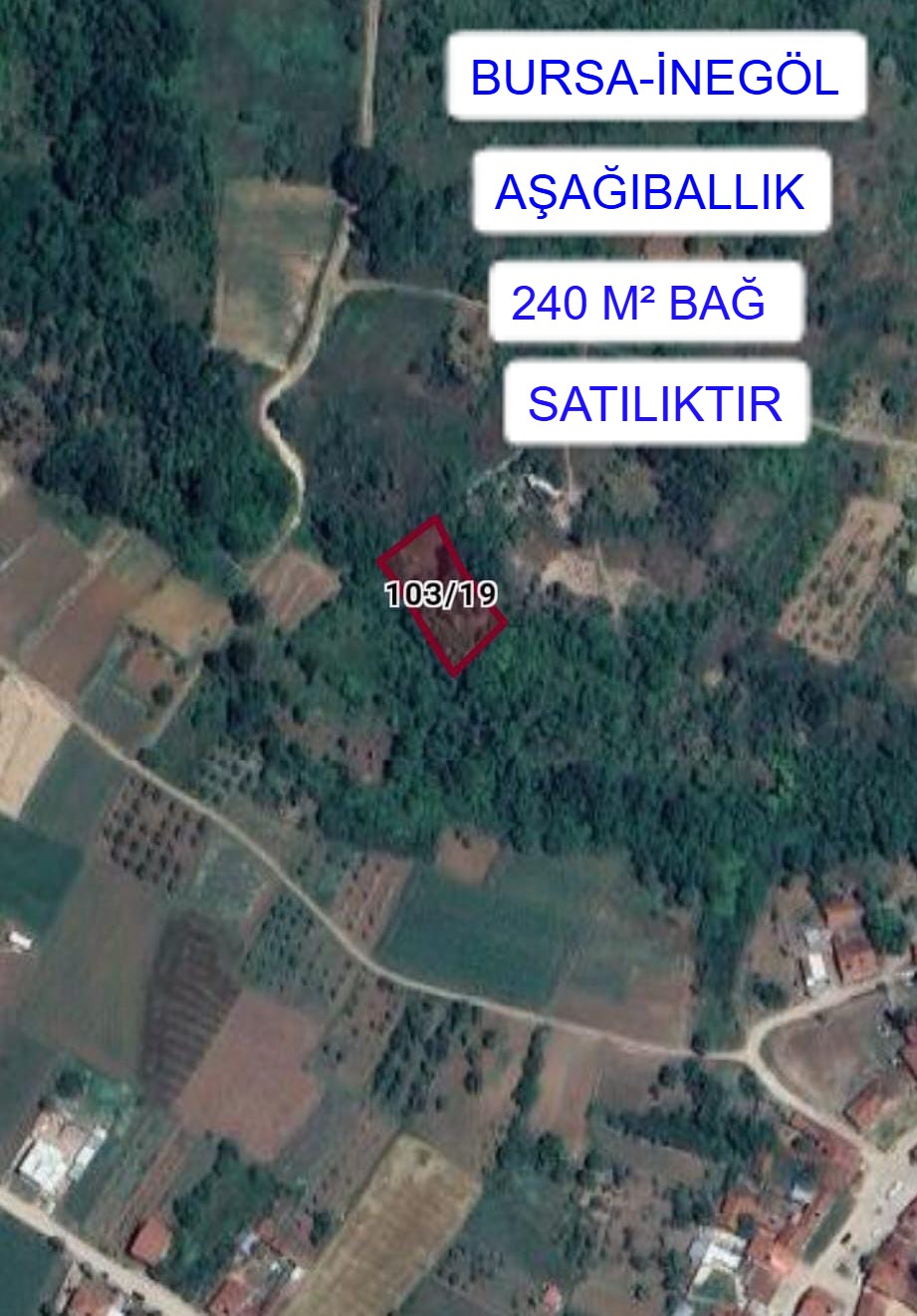 Fotoğraf