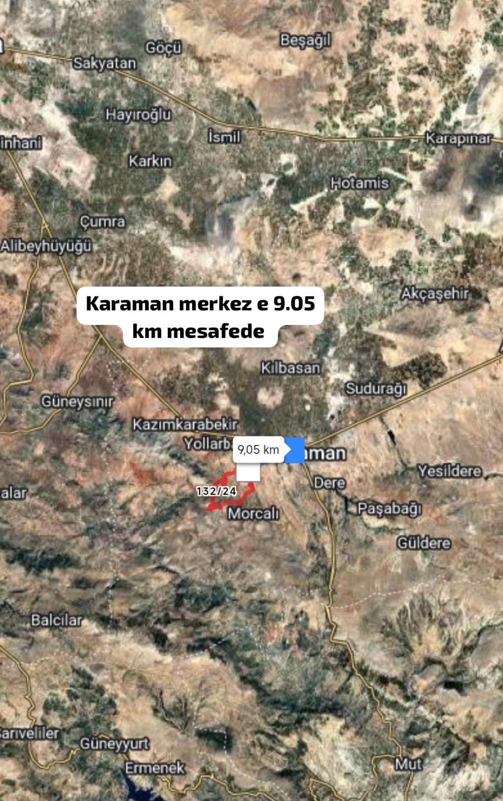 Fotoğraf