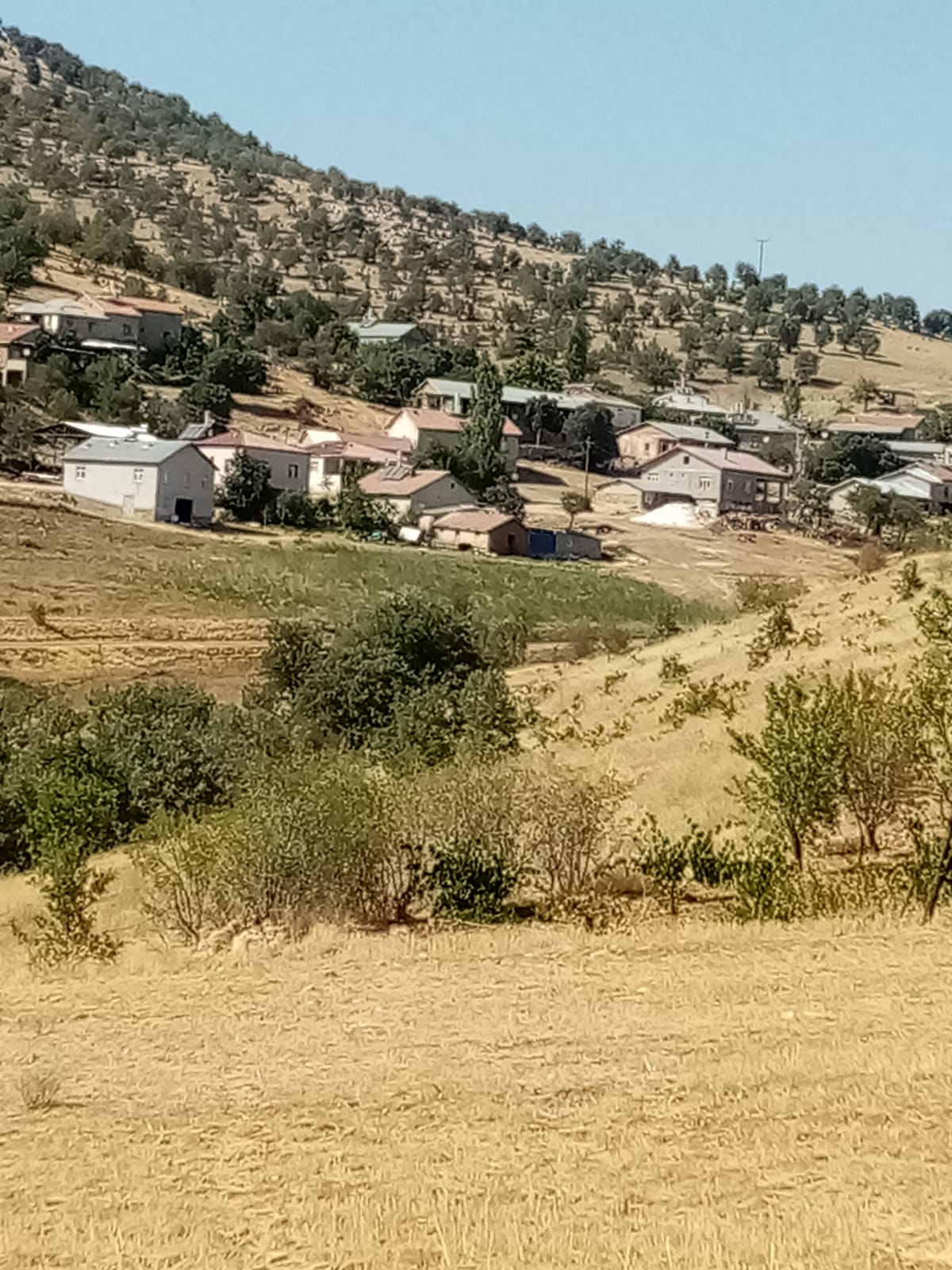 KONYA GÜNEYSINIR AĞRAS  KÖYÜNDE  5.040  M²  BAĞ  SATILIKTIR