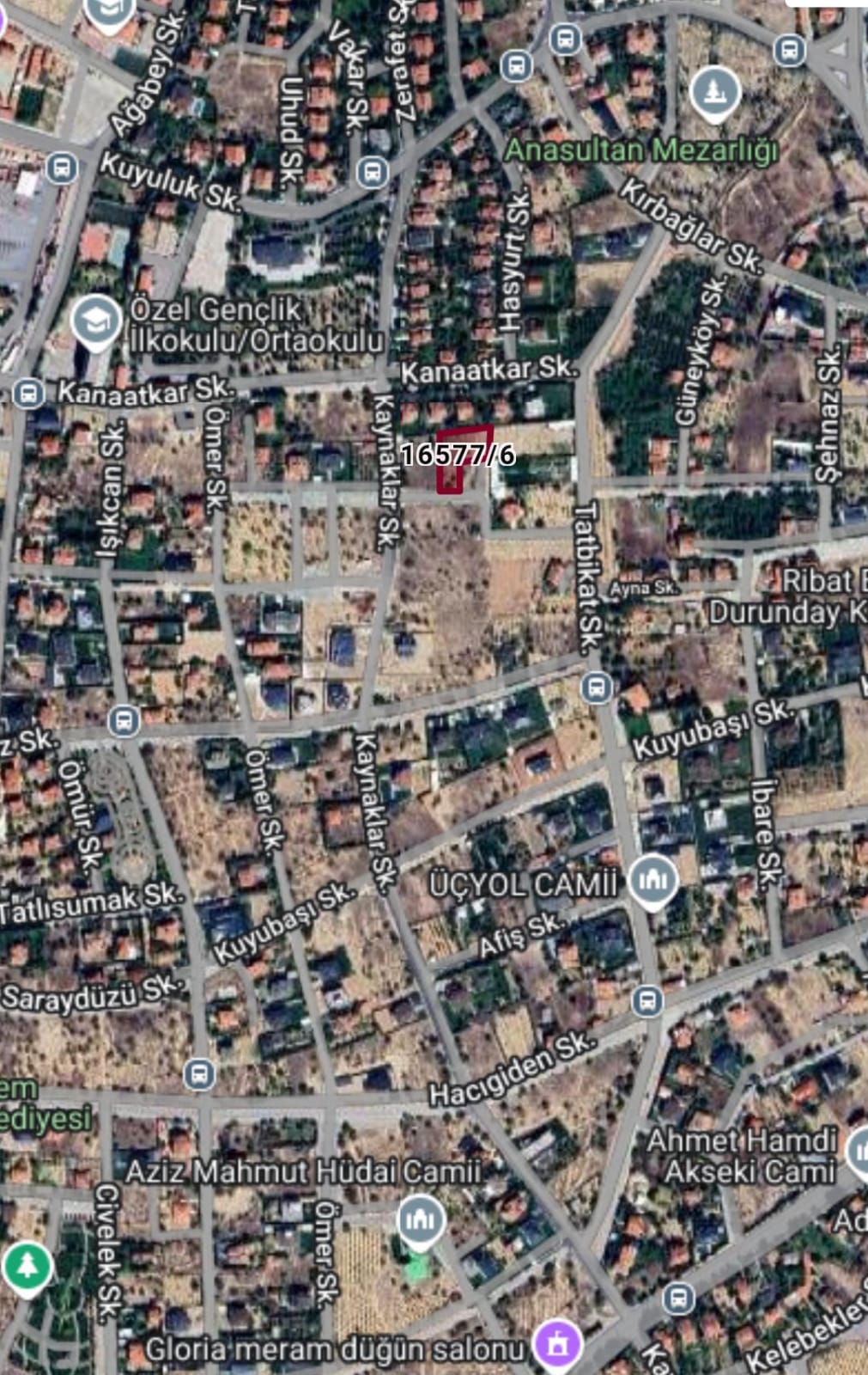 Fotoğraf