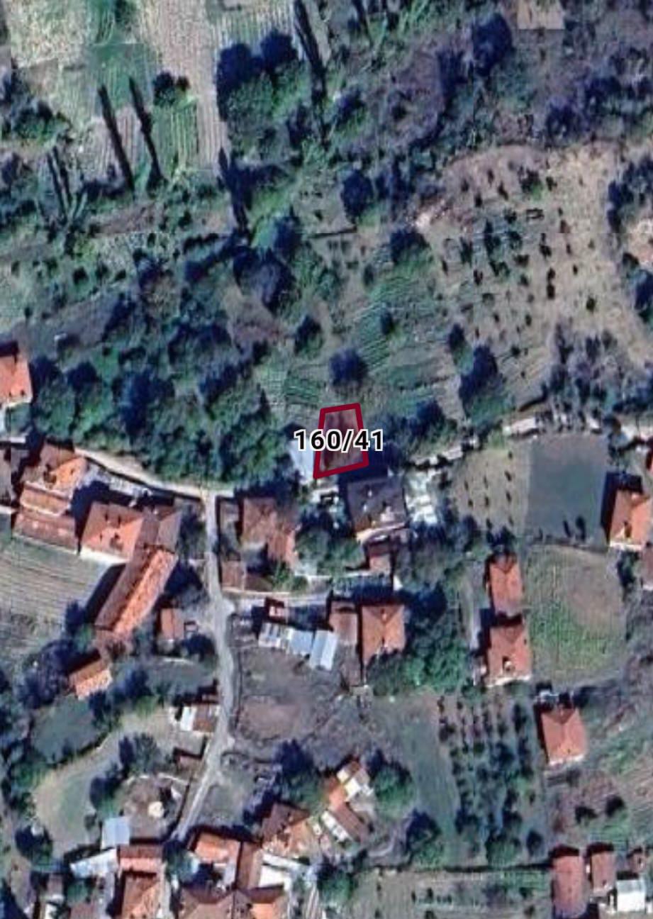 Fotoğraf