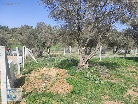 İlan Fotoğrafı
