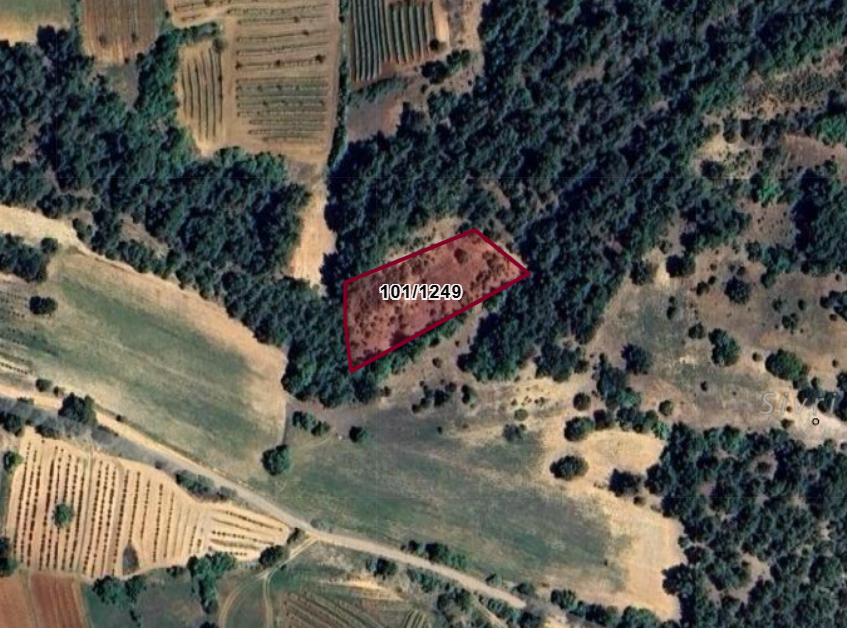 AFYONKARAHİSAR DAZKIRI DARICILAR    KÖYÜNDE 1.789  M² TARLA  SATILIKTIR