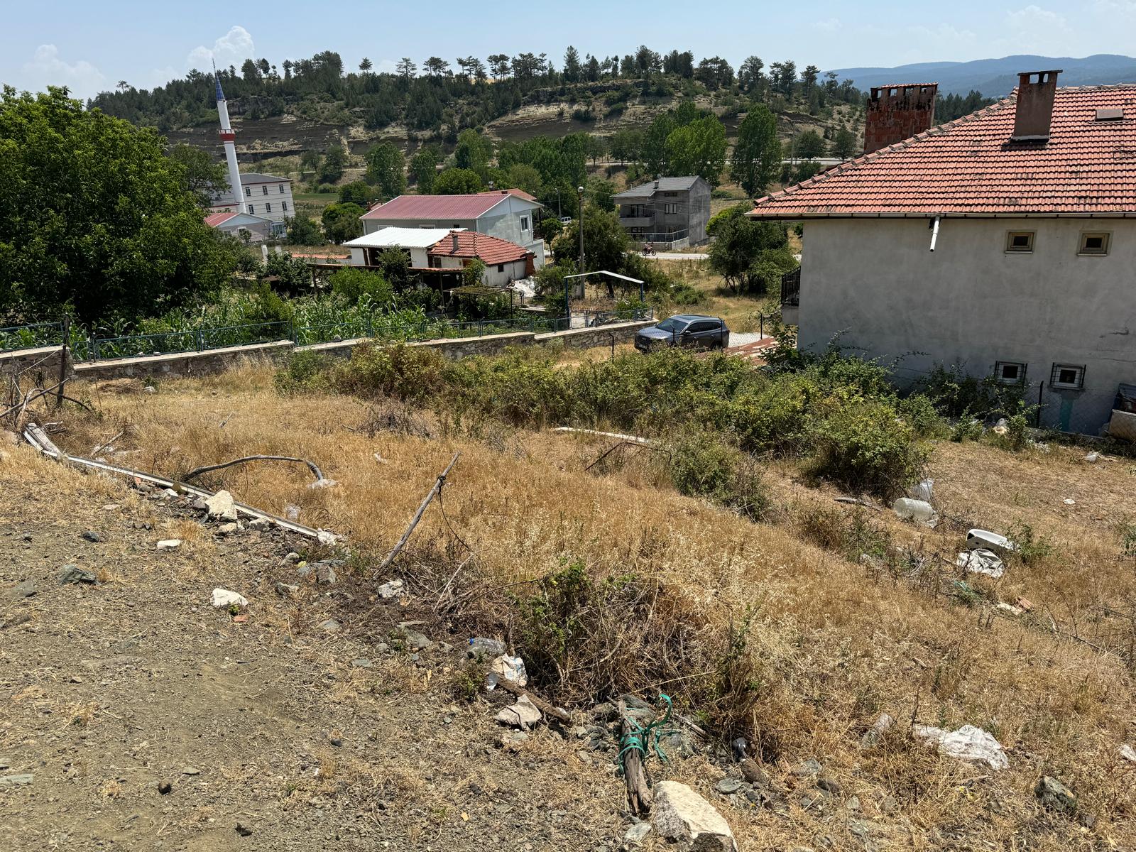 Fotoğraf