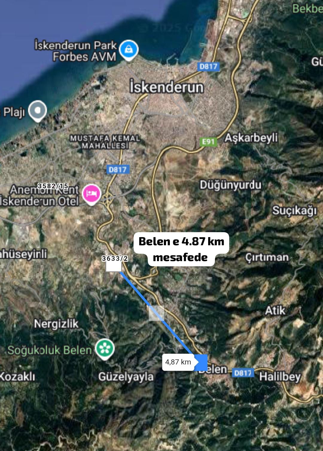 Fotoğraf