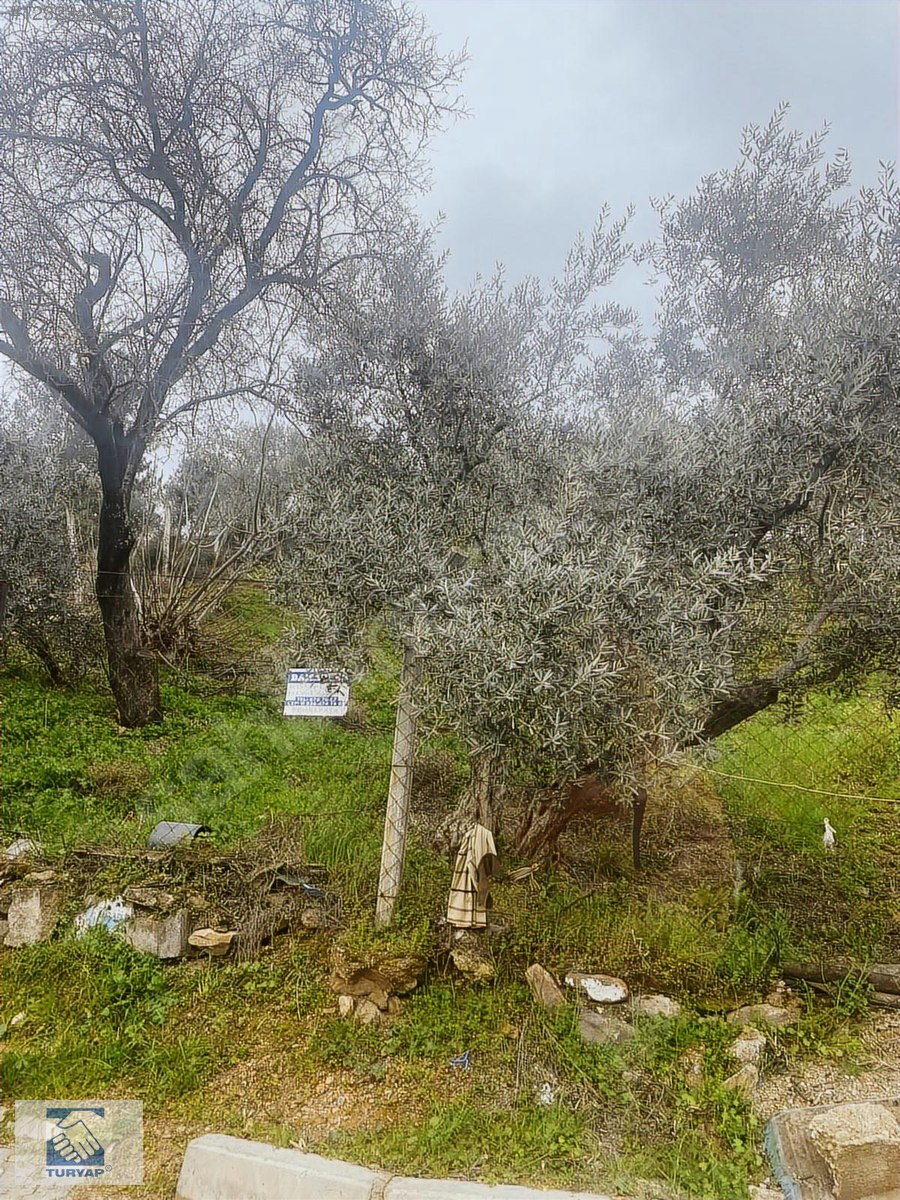 İlan Fotoğrafı