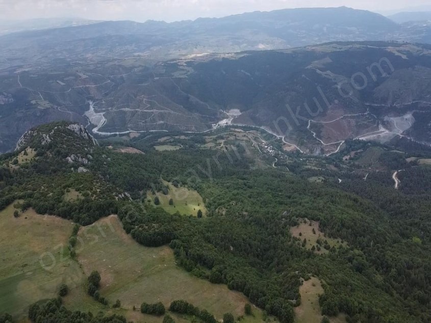Fotoğraf