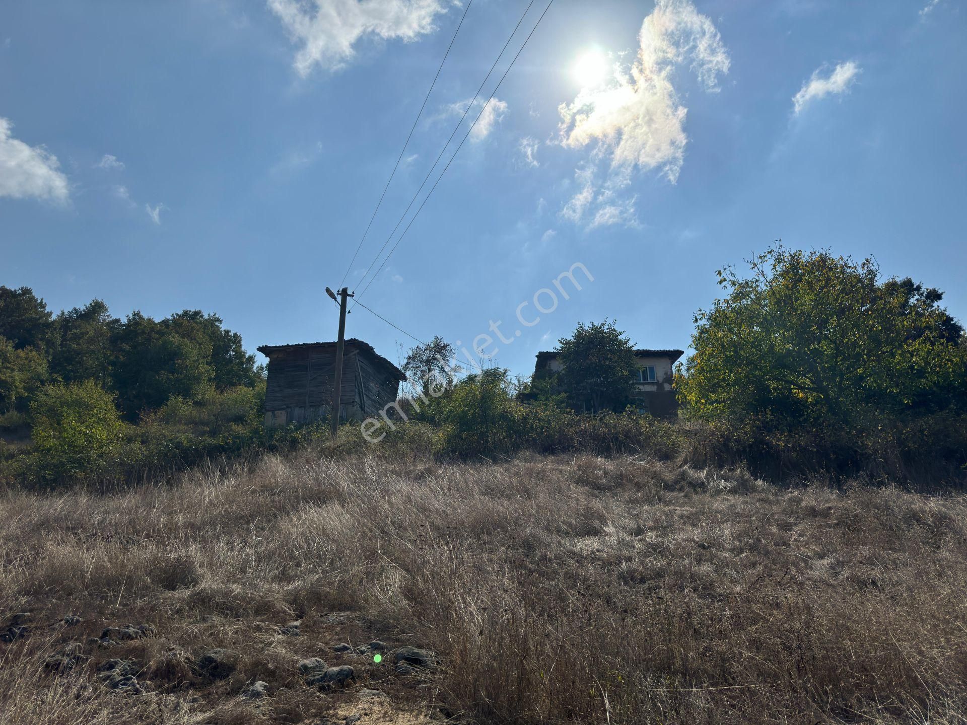 İlan Fotoğrafı
