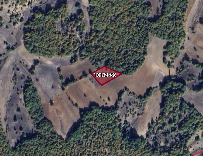 KÜTAHYA EMET ABAŞ  KÖYÜNDE 1.893 M²  TARLA  SATILIKTIR