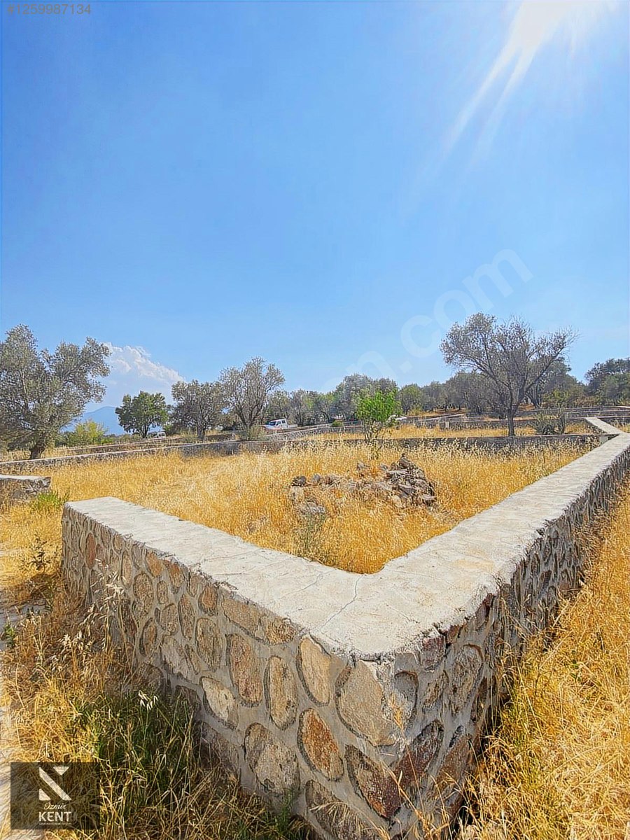 İlan Fotoğrafı