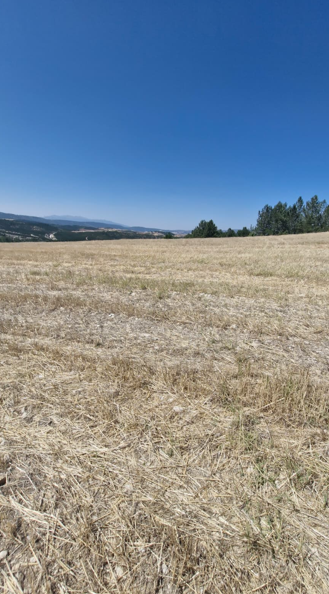 Fotoğraf