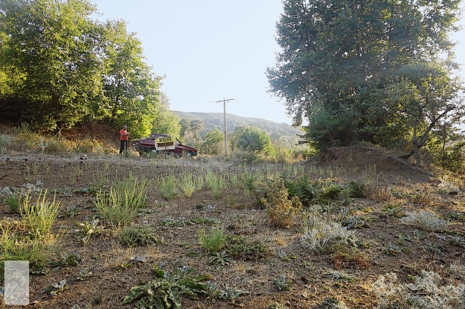 ÇANAKKALE BAYRAMİÇ SERHAT KÖYÜ 592 m2 % 80 İMARLI ARSA
