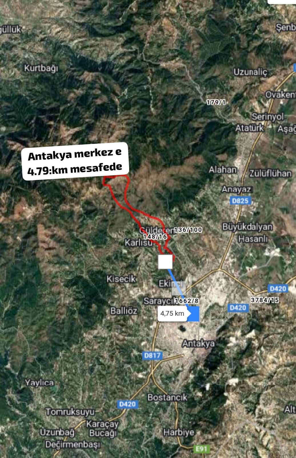 Fotoğraf
