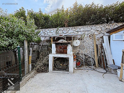 Fotoğraf