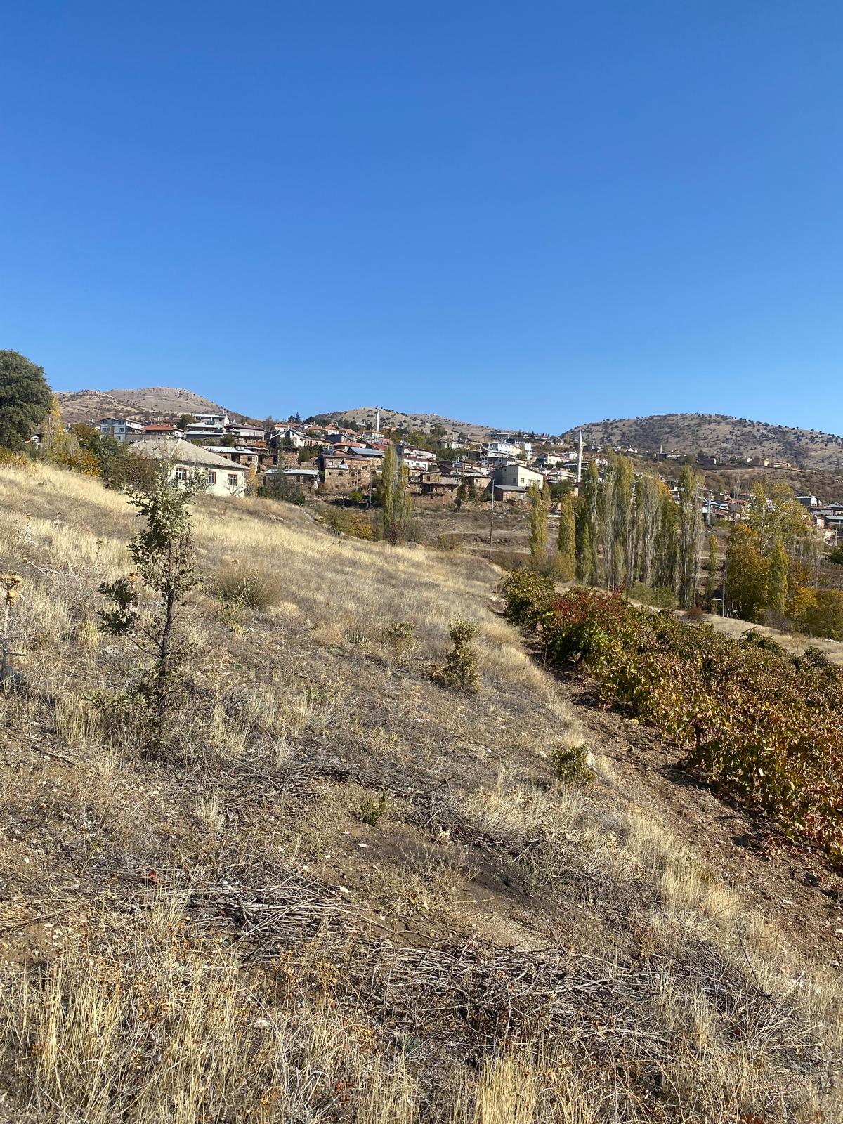 Fotoğraf