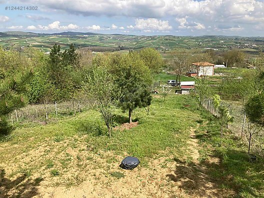 Fotoğraf