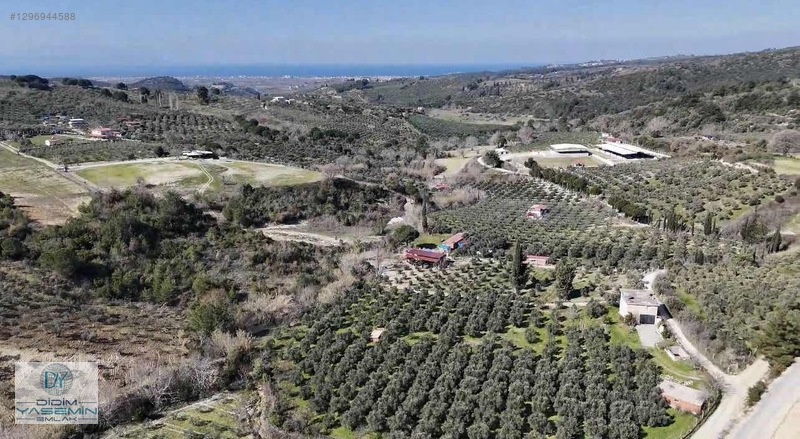 İlan Fotoğrafı