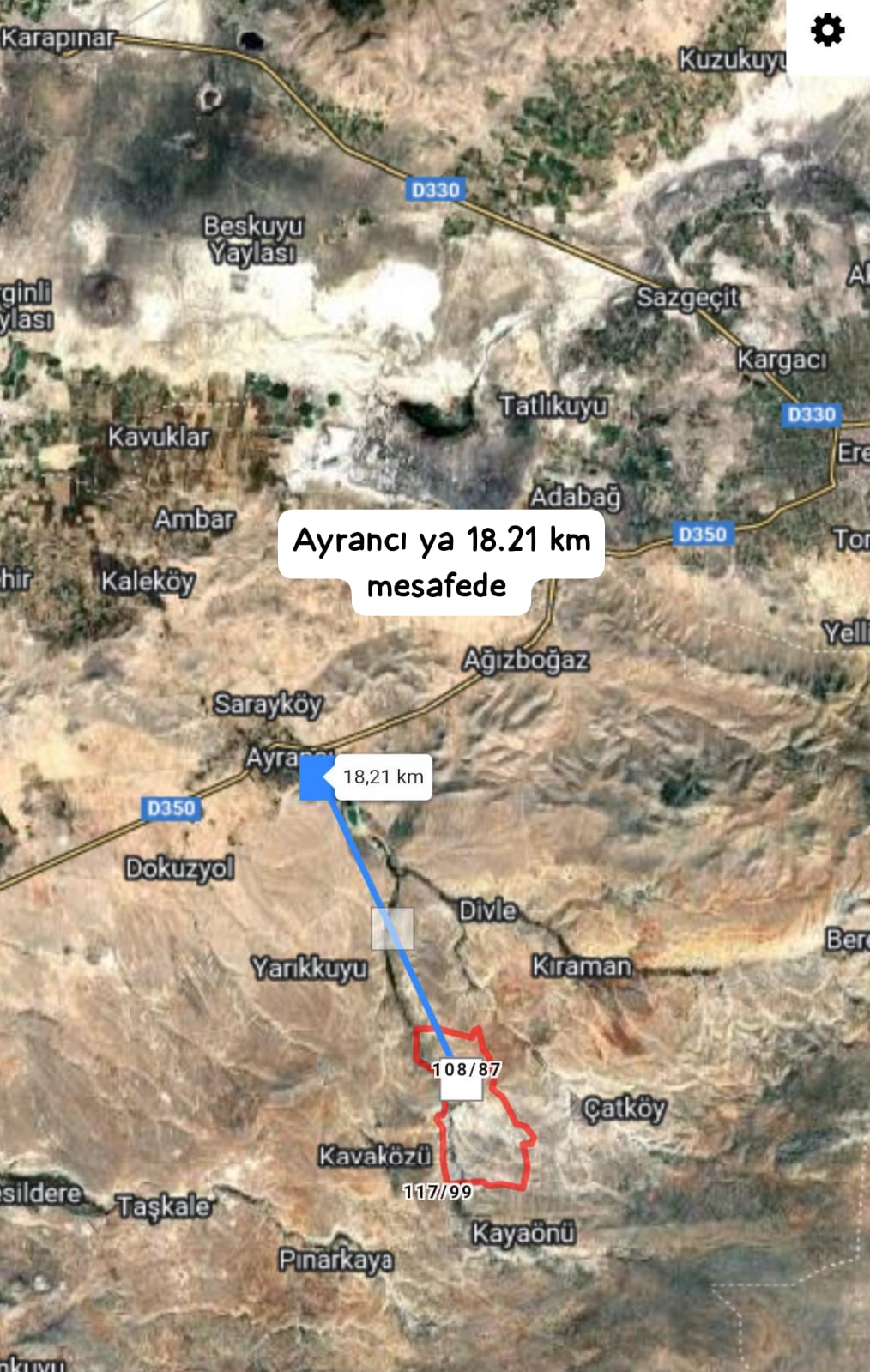 Fotoğraf