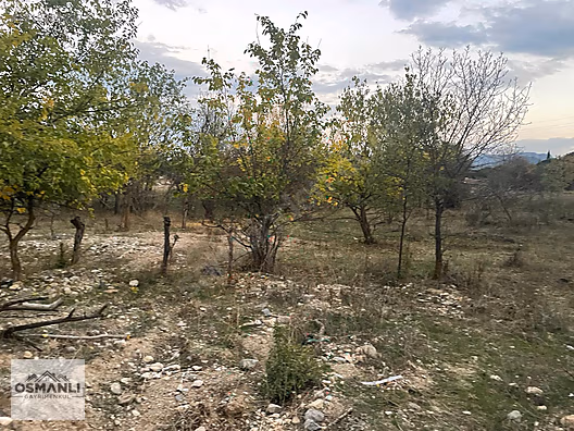 HAMİTABAT KÖYÜ VE SAKARYA NEHRİNE 200 MT MESAFEDE SERA ARAZİSİ